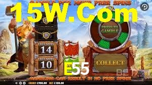 VIP Casino E55