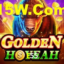 Welcome Bonus E55