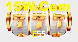 Experimente o Login Seguro Premium no E55