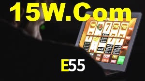 E55 App Interface