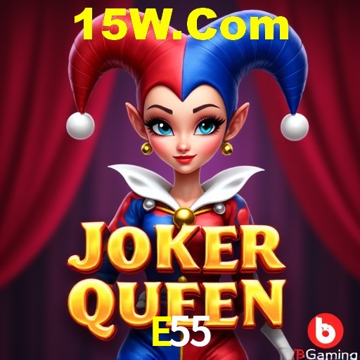 Login Seguro E55