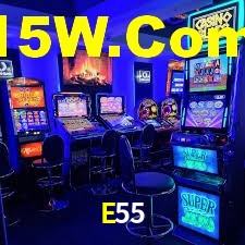 E55