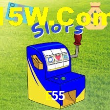 E55